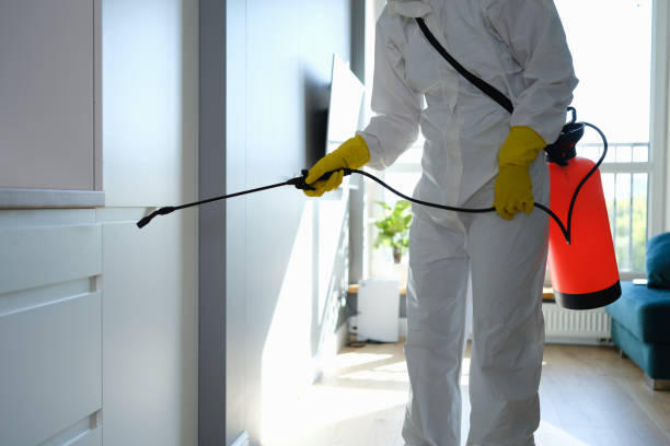 Best Emergency Mold Removal  in Stuart, VA